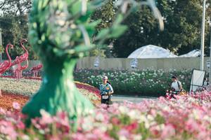 BIB: 
                            <button type="button" onclick="openModal(27344172)" class="btn btn-primary btn-sm float-right btn-popup" data-toggle="modal" data-target=".modal-high-quality">
                        <i class="fas fa-shopping-cart"></i> Add to Cart
                    </button>
                                            <button type="button" onclick="isThisMe(27344172, true)" class="btn btn-success btn-sm float-right btn-popup btn-isme hidden" data-toggle="tooltip" data-placement="bottom" title="นี่คือรูปของคุณใช่ไหม คลิกที่นี่เพื่อเอาเข้าอัลบั้ม">
                        <i class="fas fa-plus"></i> Add to album
                    </button>
                    <button type="button" onclick="isThisMe(27344172, false)" class="btn btn-warning btn-sm float-right btn-popup btn-isnotme hidden">
                        <i class="fas fa-ban"></i> Remove from album
                    </button>